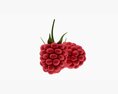Raspberries Ripe Modelo 3D