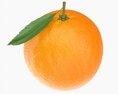 Orange With Leaf 3Dモデル