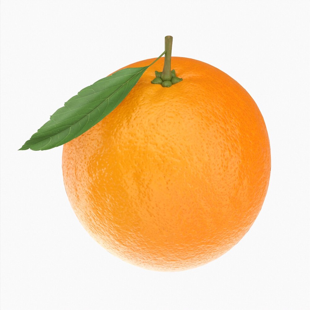 Orange With Leaf Modelo 3d