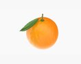 Orange With Leaf 3d model