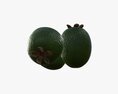 Feijoa Tropical Fruit Whole Cut In Half 3D-Modell