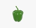 Pepper Bell Green 3d model