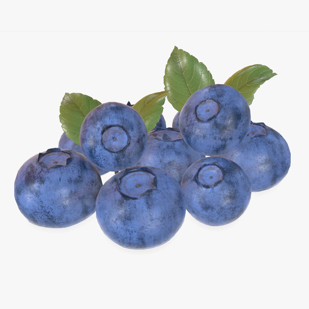 Blueberries 3D модель