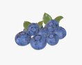 Blueberries Modello 3D