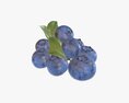 Blueberries 3d model