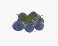 Blueberries 3D模型