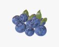 Blueberries 3d model