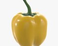 Pepper Bell Yellow 3Dモデル