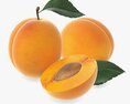 Apricot Fresh Cut Fruits With Leaf 3D模型