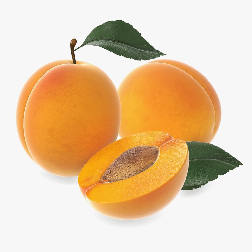 Apricot Fresh Cut Fruits With Leaf 3Dモデル