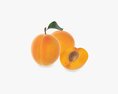 Apricot Fresh Cut Fruits With Leaf Modèle 3d