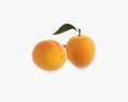 Apricot Fresh Cut Fruits With Leaf 3D модель