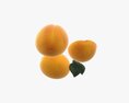 Apricot Fresh Cut Fruits With Leaf Modello 3D