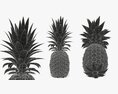 Pineapple 3Dモデル