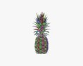 Pineapple 3D模型