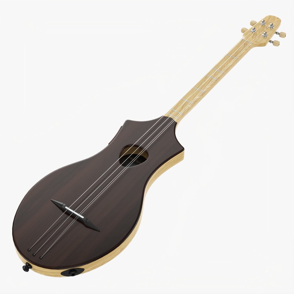 Acoustic 4-String Instrument 02 3D-Modell