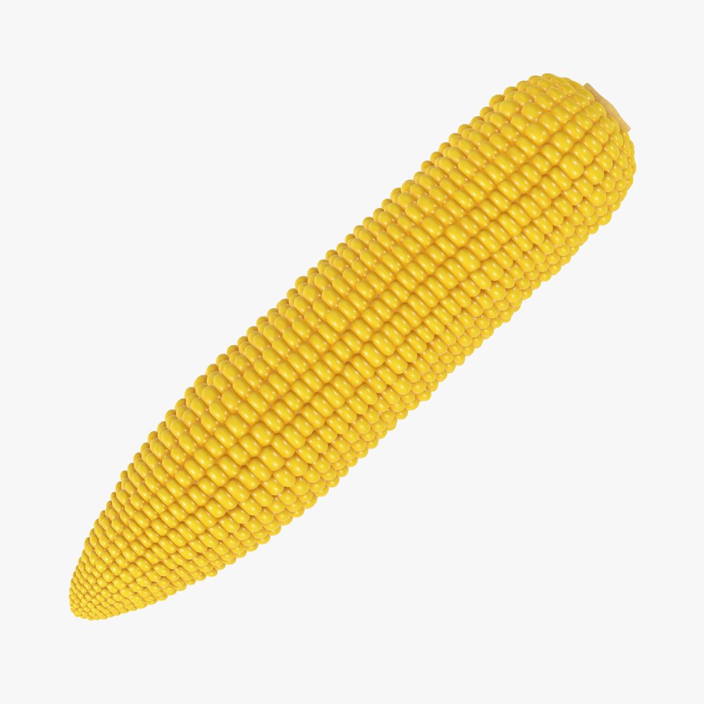 Corn 3Dモデル