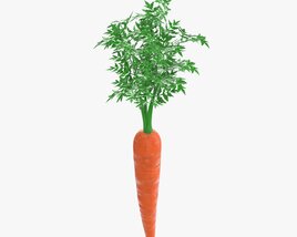 Carrot 03 3D-Modell