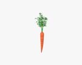 Carrot 03 3Dモデル