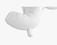 Decoration Foil Balloon 10 Elephant 3D模型