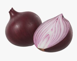 Onion 3D 모델 