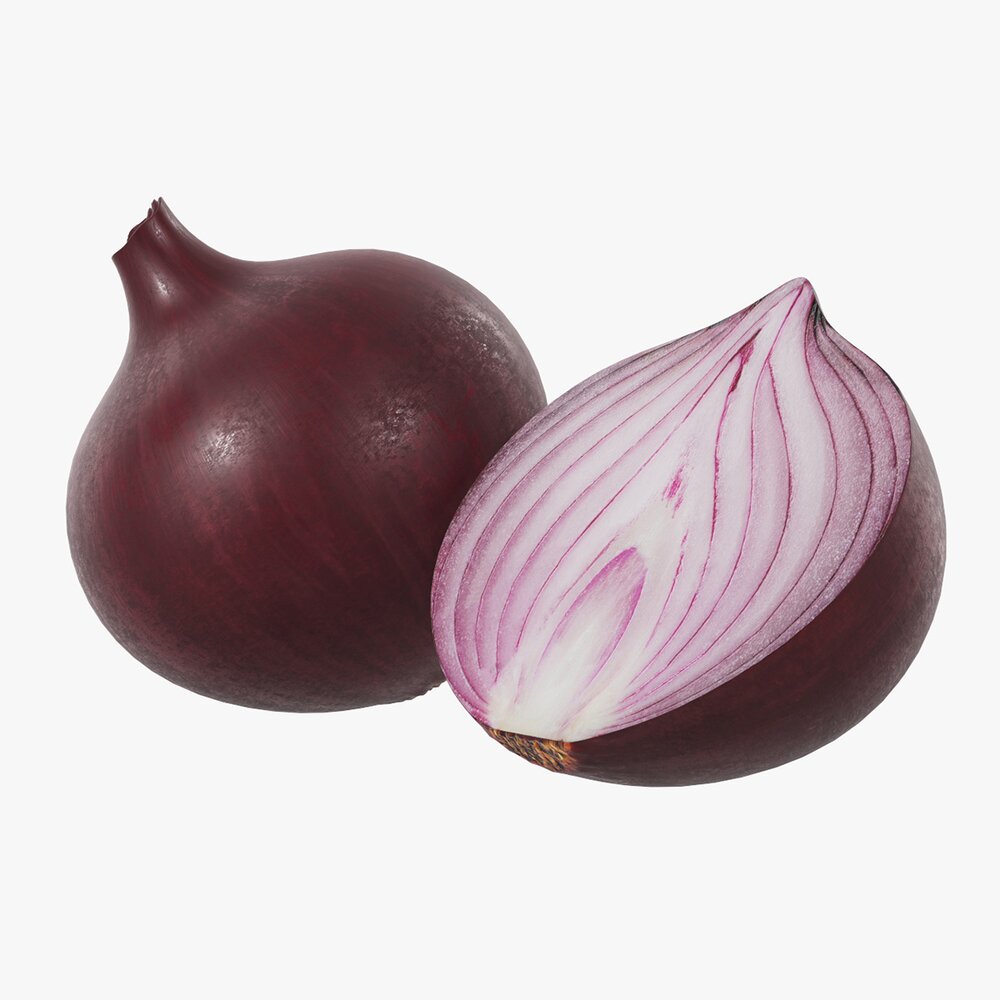 Onion 3Dモデル