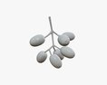 Jambolan Plums With Stem 3D-Modell