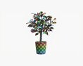 Ficus Tree In Decorative Pot Modelo 3d