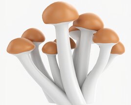 Honey Mushrooms Armillaria Mellea 3D 모델 
