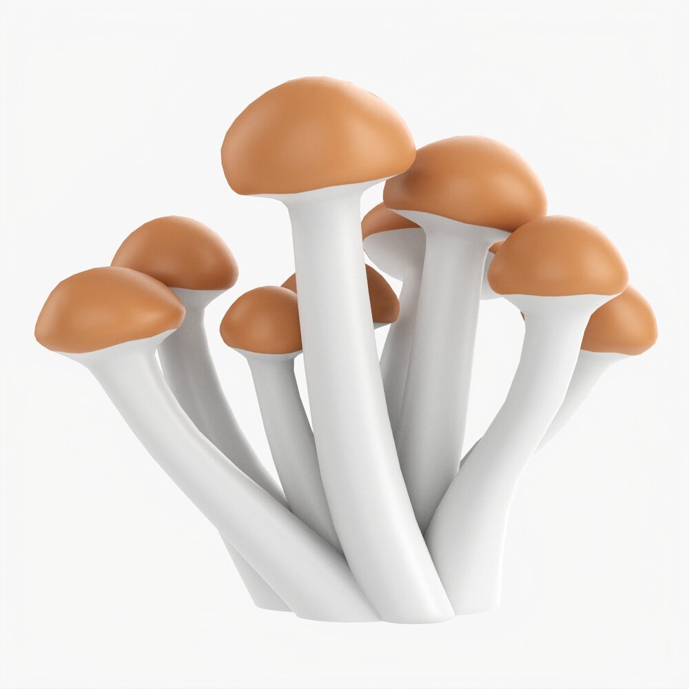 Honey Mushrooms Armillaria Mellea 3Dモデル