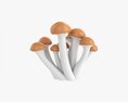 Honey Mushrooms Armillaria Mellea 3D 모델 