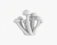 Honey Mushrooms Armillaria Mellea 3D модель