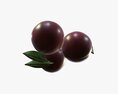 Plums With Leaves 3d model