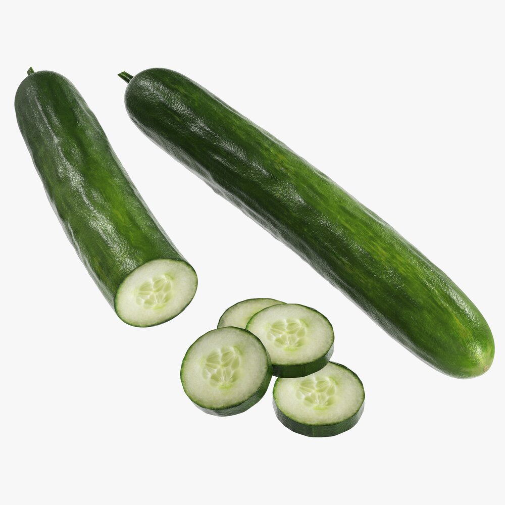 Cucumber Modelo 3d