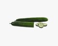 Cucumber Modello 3D