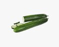 Cucumber 3d model