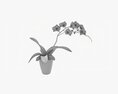 Orchid Flower In Pot 3D模型