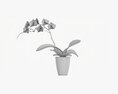 Orchid Flower In Pot Modelo 3d
