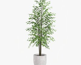 Potted Decorative Tree 02 3D model