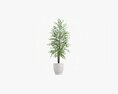 Potted Decorative Tree 02 3D-Modell