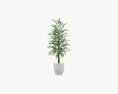 Potted Decorative Tree 02 Modelo 3D