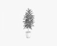 Potted Decorative Tree 02 3d model