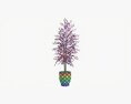 Potted Decorative Tree 02 3D 모델 