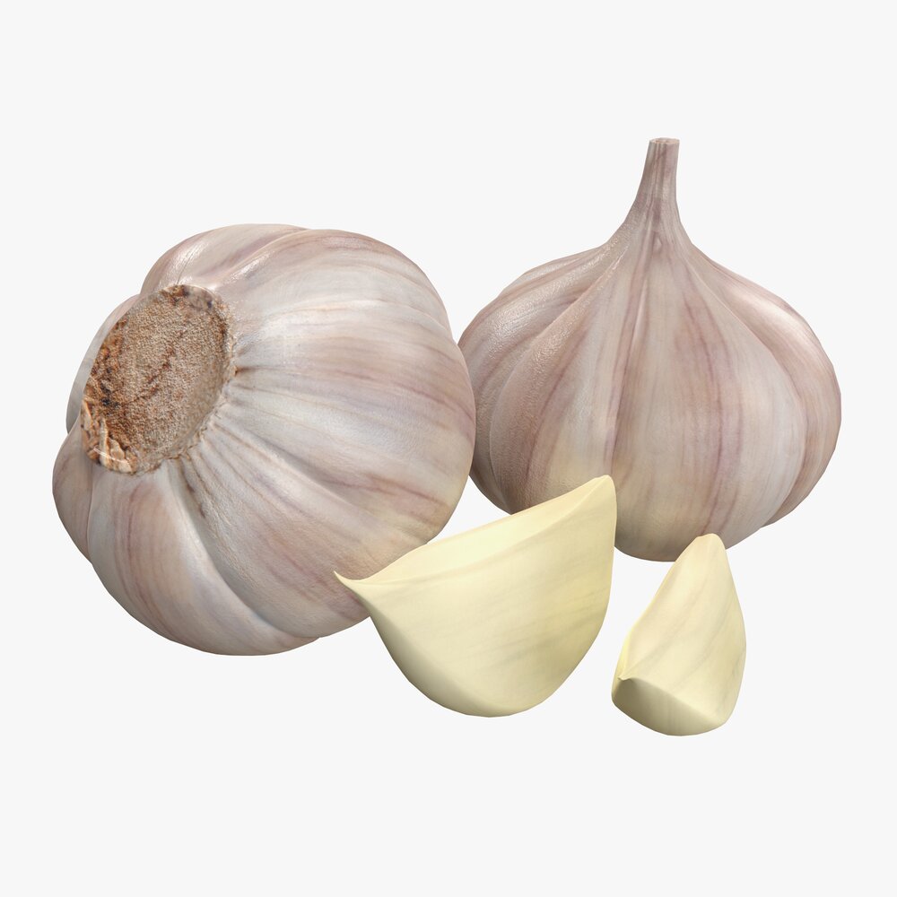 Garlic 3D-Modell