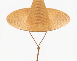 Sombrero Straw Hat Brown 3D модель
