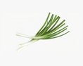 Spring Onions 01 3D-Modell