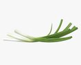 Spring Onions 01 3D-Modell