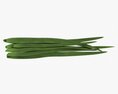Spring Onions 03 3D-Modell