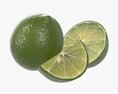 Citrus Lime Fruit 3d model