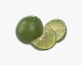 Citrus Lime Fruit Modelo 3D